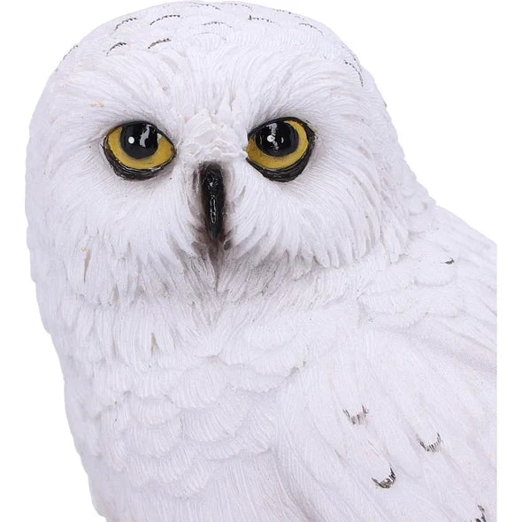 Hedwig 10cm